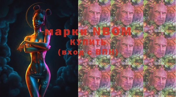 дмт Арсеньев