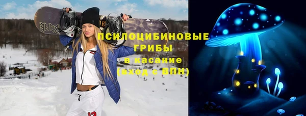 прущие грибы Аркадак