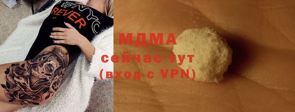 прущие грибы Аркадак