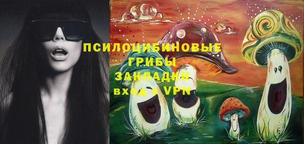 мдпв Армянск