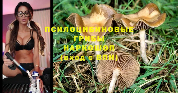 дмт Арсеньев