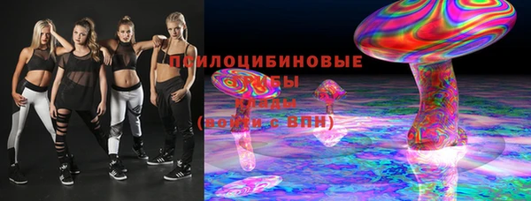 прущие грибы Аркадак