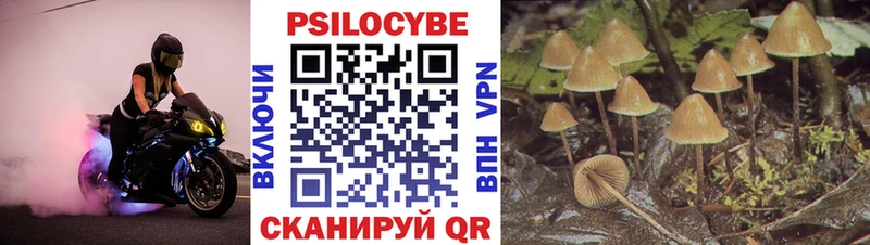 Галлюциногенные грибы Psilocybine cubensis  Сарапул 